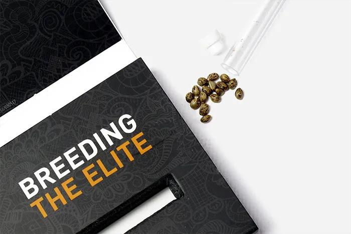 marca packaging semillas cannabis